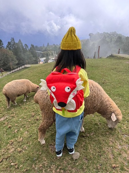 小狐狸背包
